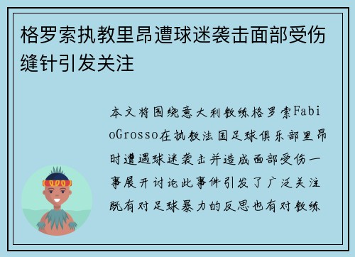 格罗索执教里昂遭球迷袭击面部受伤缝针引发关注